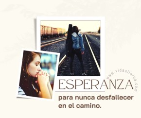 12 prop&oacute;sitos