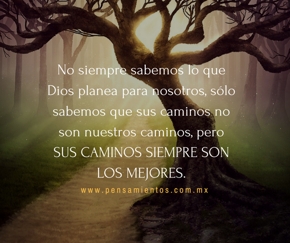 Los tres &aacute;rboles