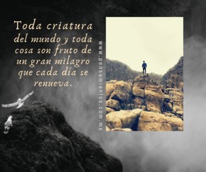 Reflexi&oacute;n