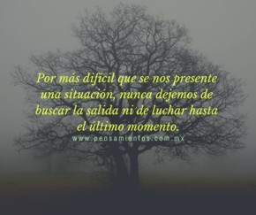 Sabidur&iacute;a