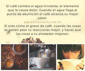 ¿Y tú que eres?